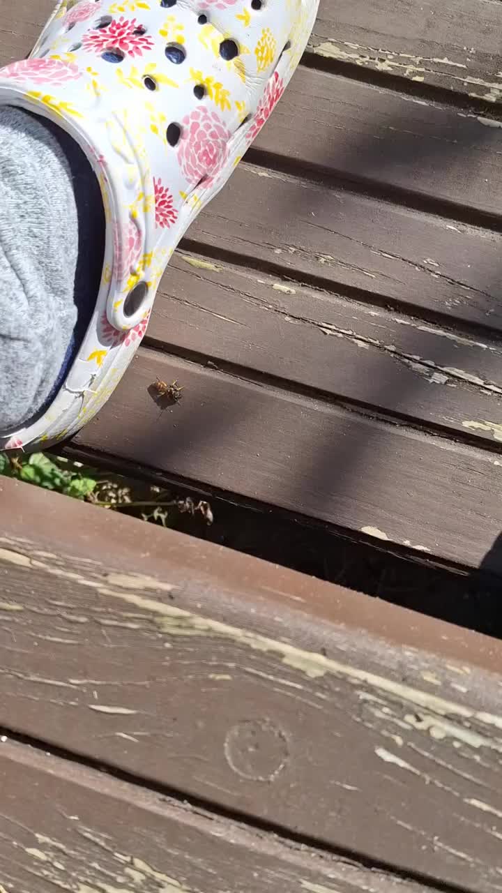 Video post from makos.naturgarten.