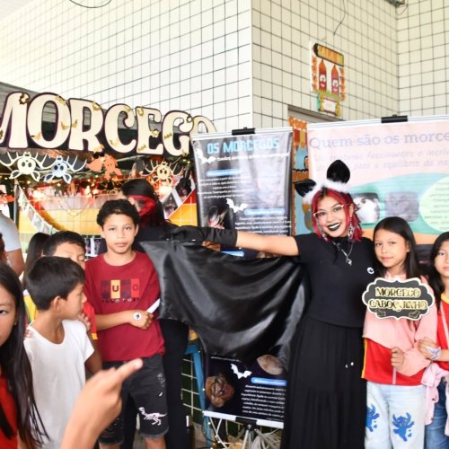 Carousel post from morcegos.amazonia.