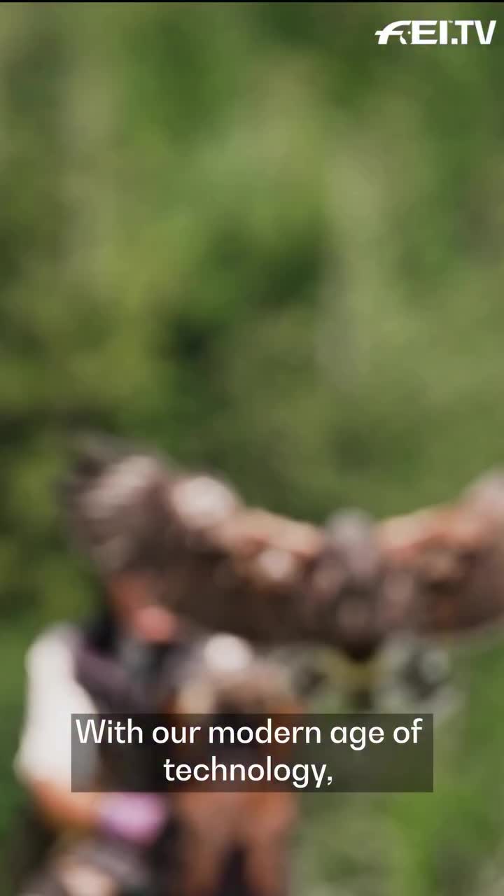 Video post from fei_global.