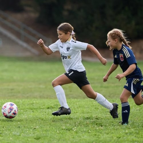 Photo post from diablovalleywolves.