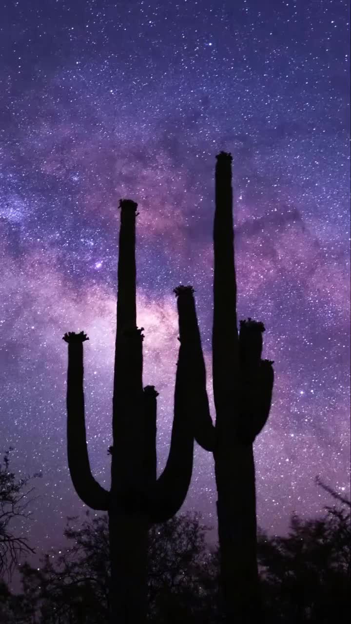 Video post from visittucson.