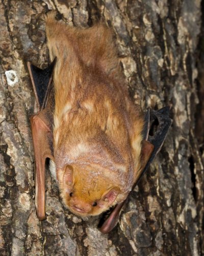 Photo post from catskillcenter.