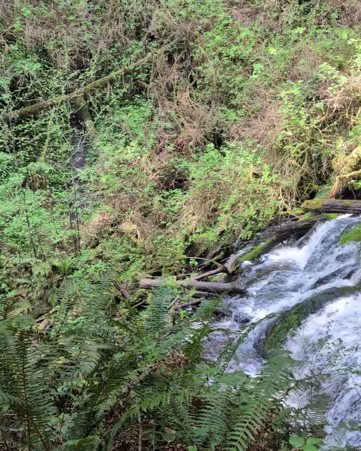 Video post from theresortatportludlow.