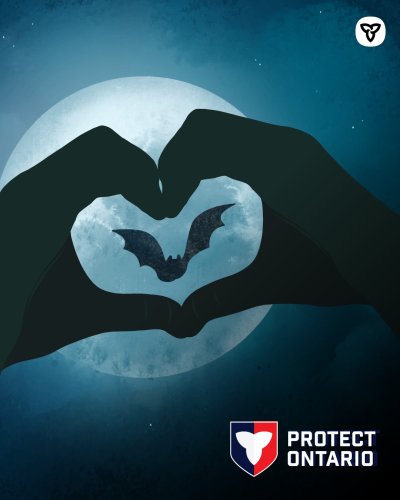 Photo post from onenvironment.