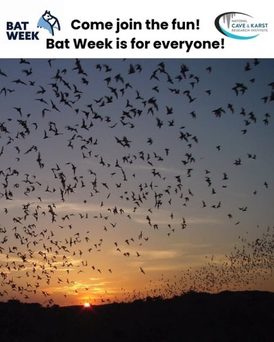 Video post from nckri.