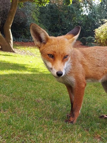 Photo post from books_scarves_and_beige.