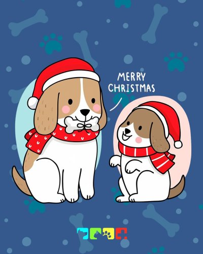 Photo post from medicalpettj.