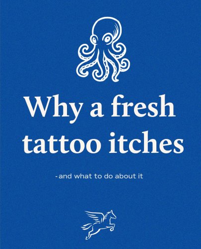 Carousel post from pegasus.pro.