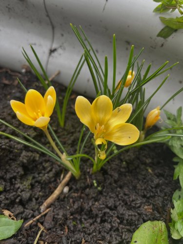 Photo post from lucy_brewer.