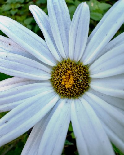 Photo post from nimsically.