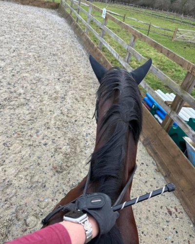 Photo post from mbddressage.