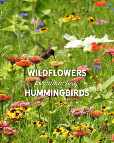 Carousel post from hcgplants.