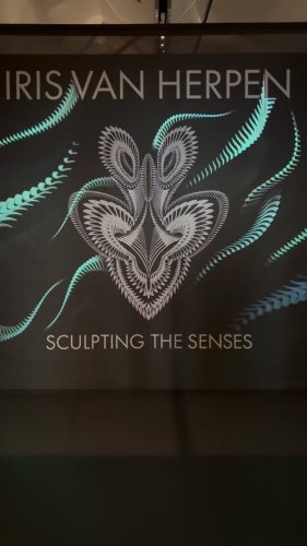 Video post from masteryourbusinessmoves.nl.