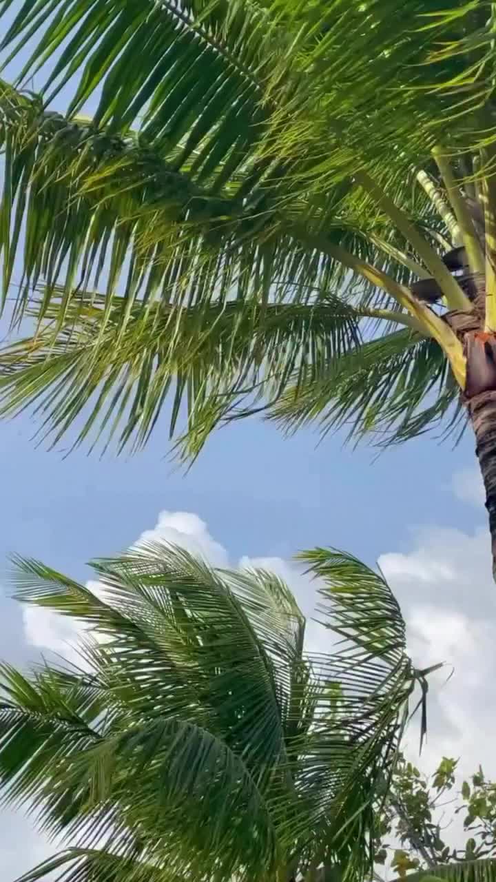 Video post from galeriaspacificoshopping.