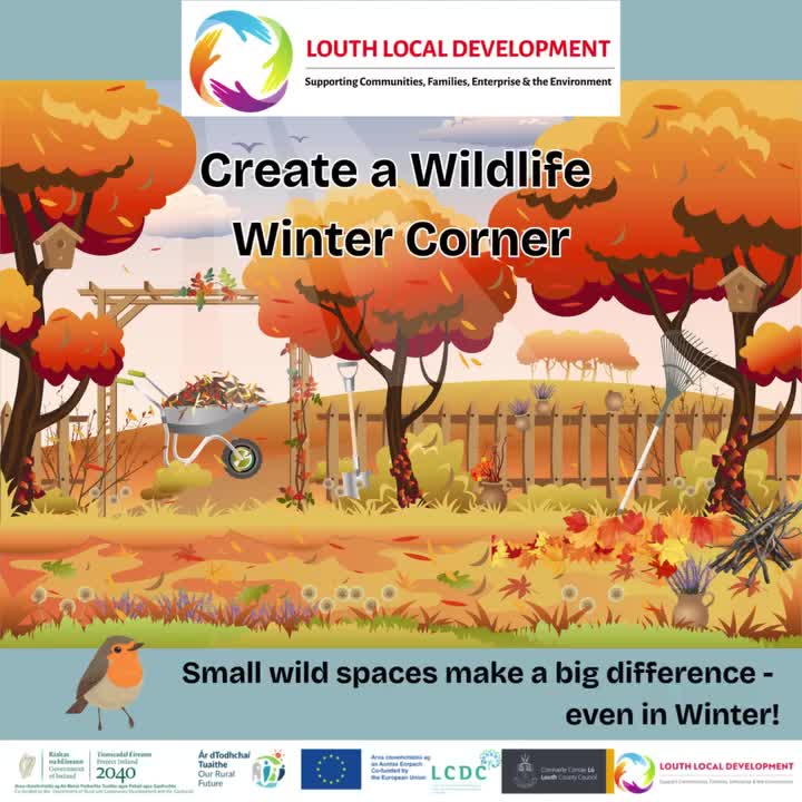 Video post from louthlocaldevelopment.