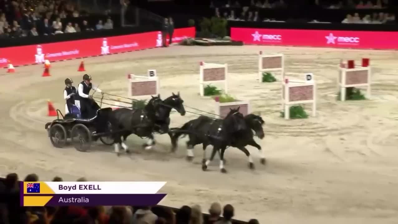 Video post from fei_global.