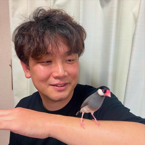 Carousel post from solafujii_information.