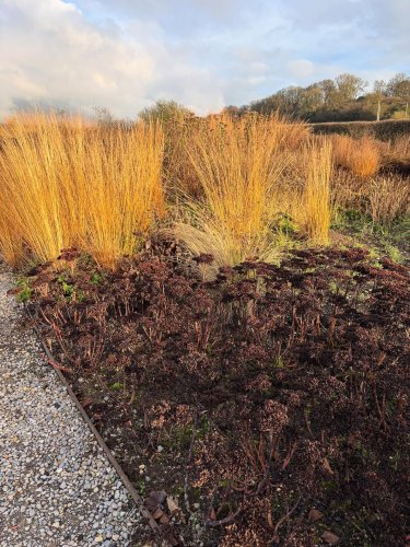 Carousel post from gardenhousebrighton.