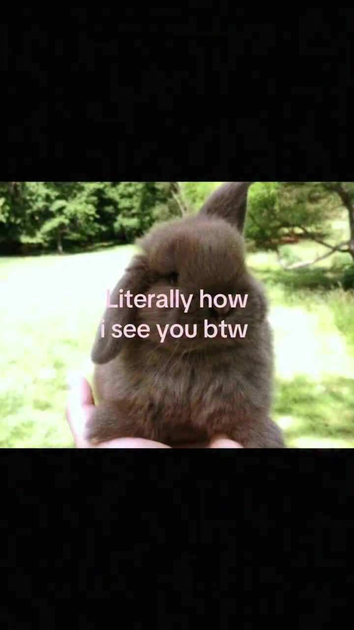 Video post from njexoticpets.