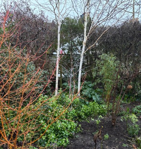 Photo post from gardenhousebrighton.