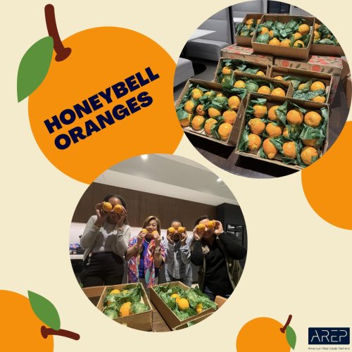 Carousel post from american_re_partners.