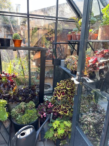 Carousel post from gardenhousebrighton.