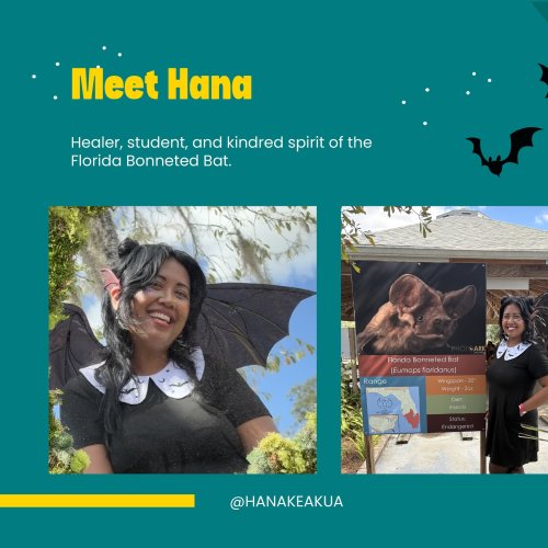 Carousel post from salty.3dprints.