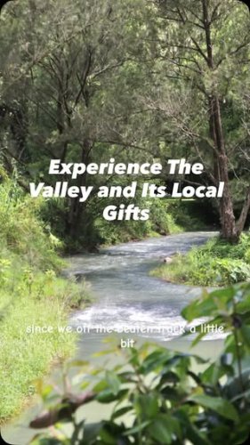 Video post from currumbinvalleyharvest.
