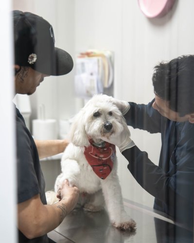 Carousel post from medicalpettj.