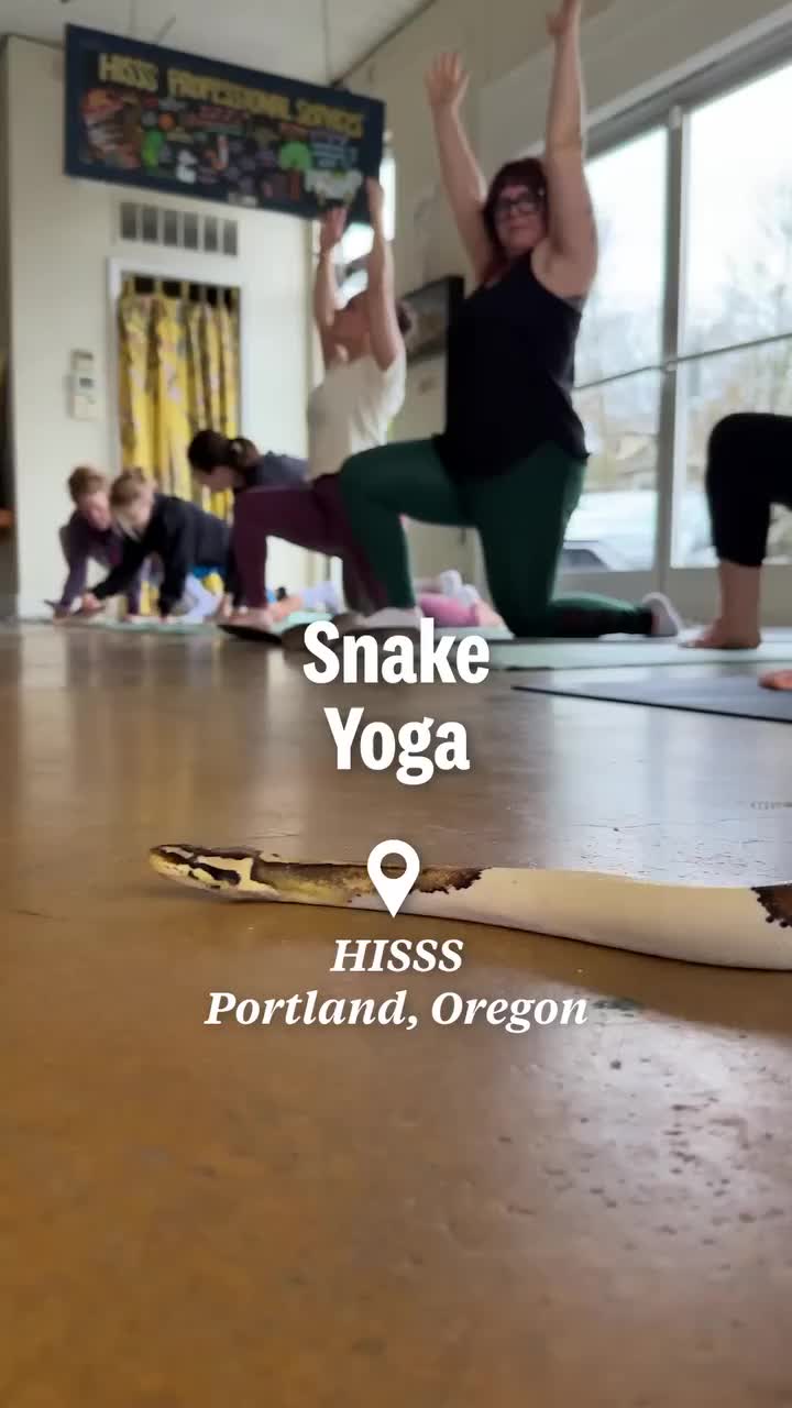 Video post from hereisoregon.