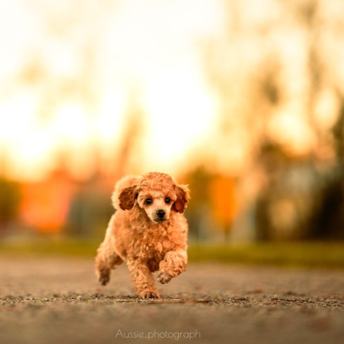 Carousel post from palmaleos.