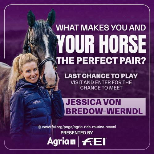 Photo post from fei_global.