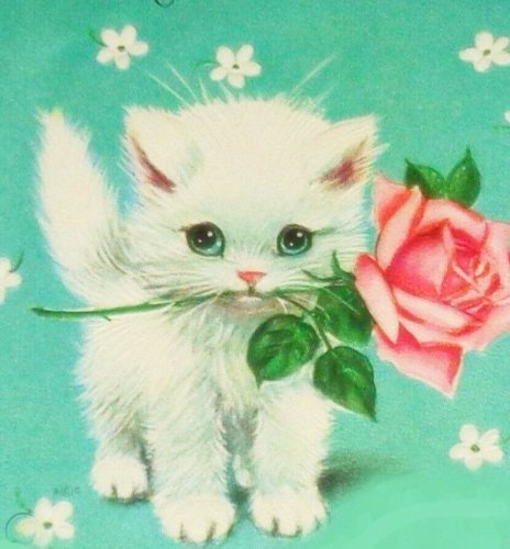 Photo post from margaritabloom.