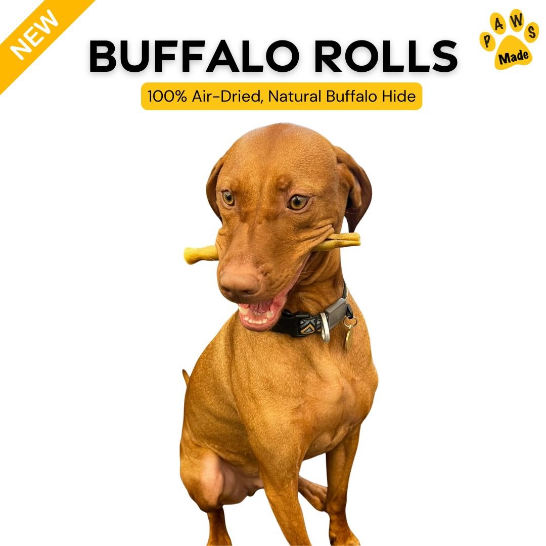 Photo post from pawstrading.