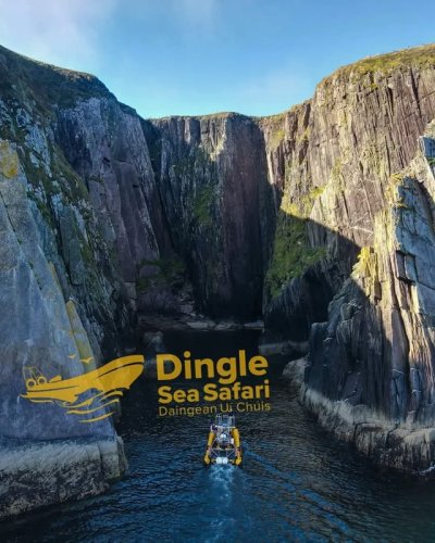 Video post from dinglepeninsulatourism.