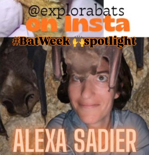 Photo post from icb_journal.