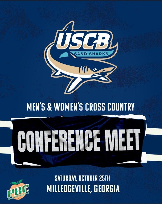 Photo post from uscbsandsharks.