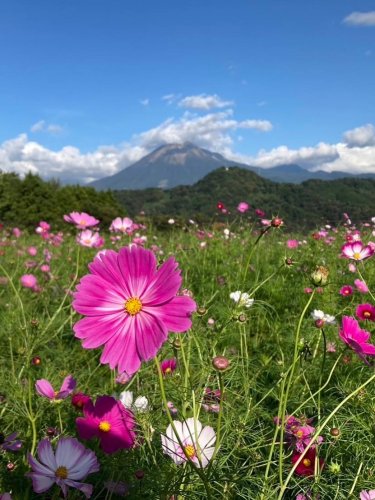Carousel post from masumizutenkuu.