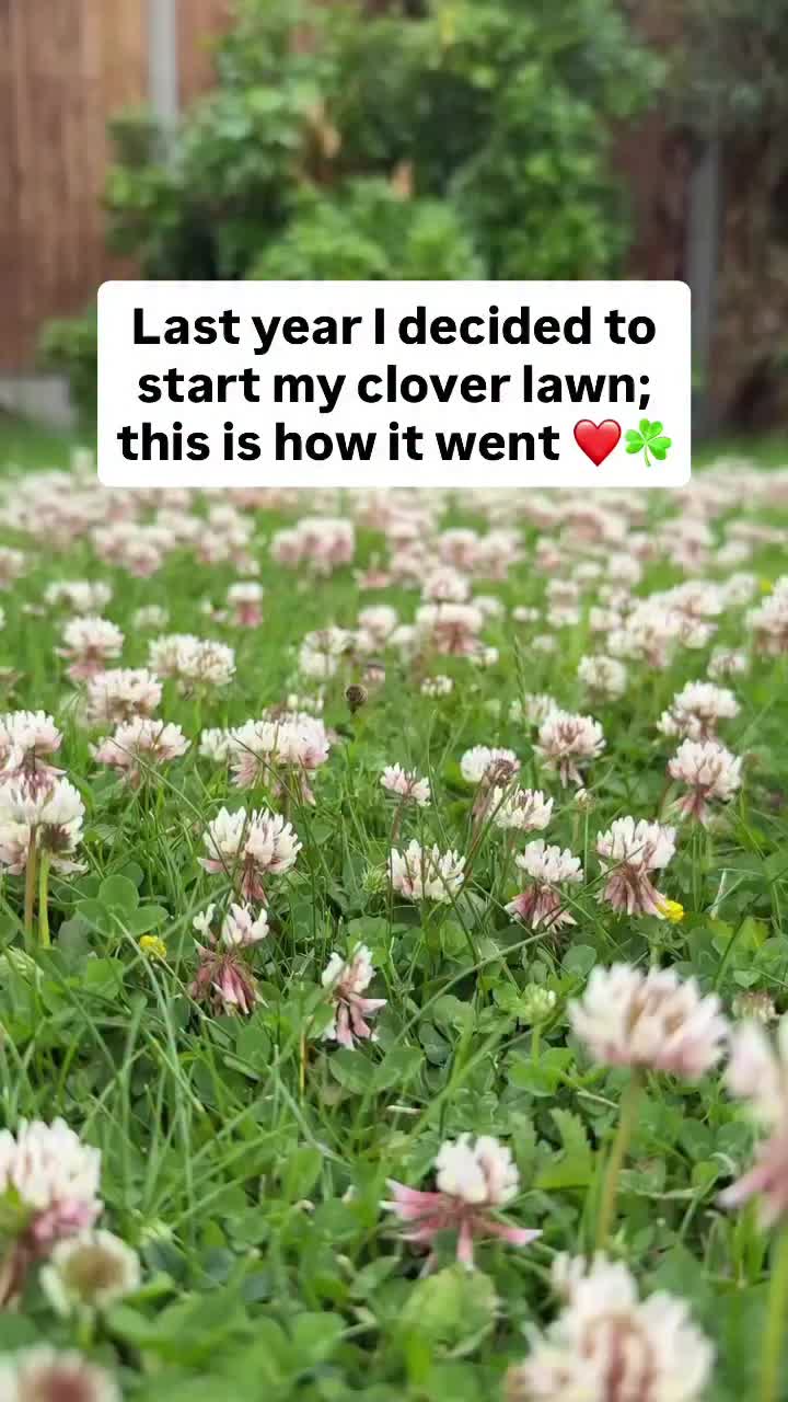 Video post from jenshomejournal.