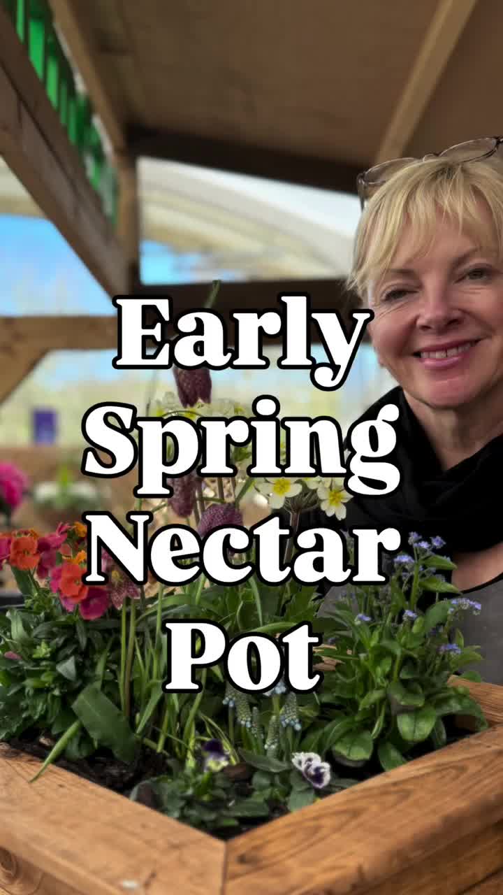 Video post from pepperhillgardencentre.