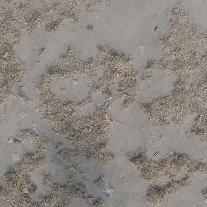 Video post from bosfeestenpeutie.