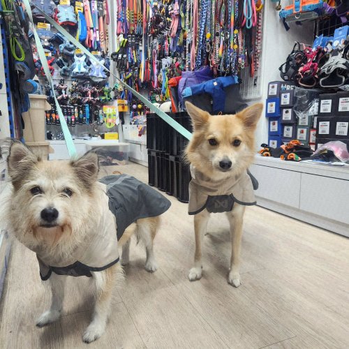 Carousel post from felipet_official.