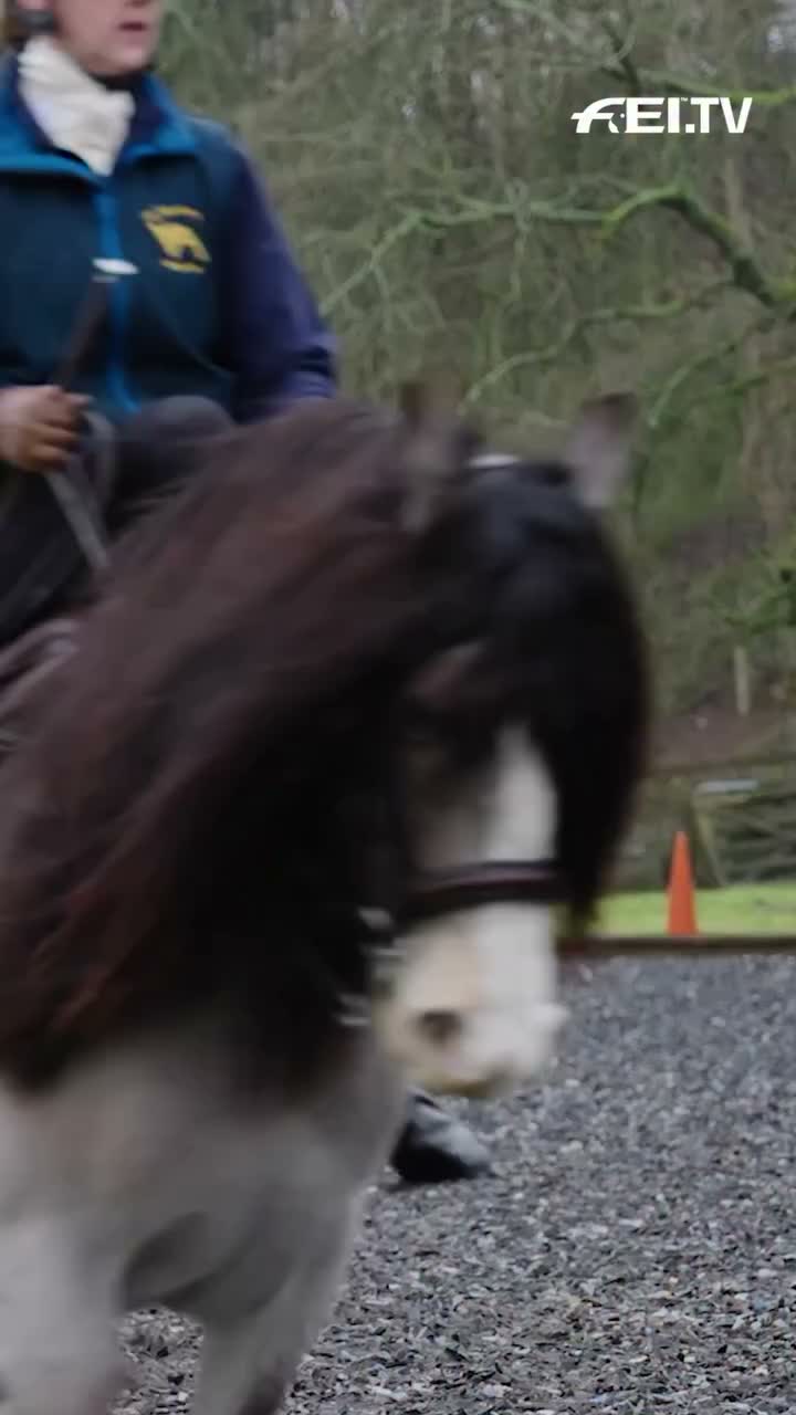 Video post from fei_global.