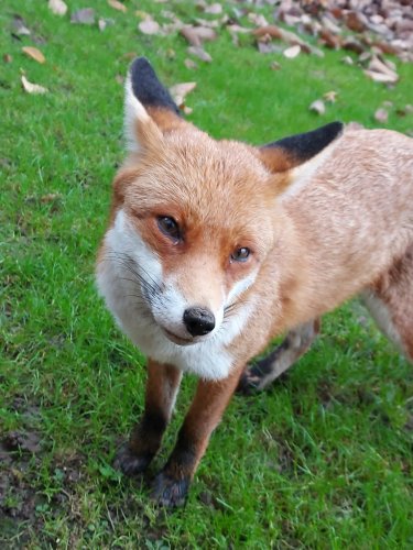 Photo post from books_scarves_and_beige.