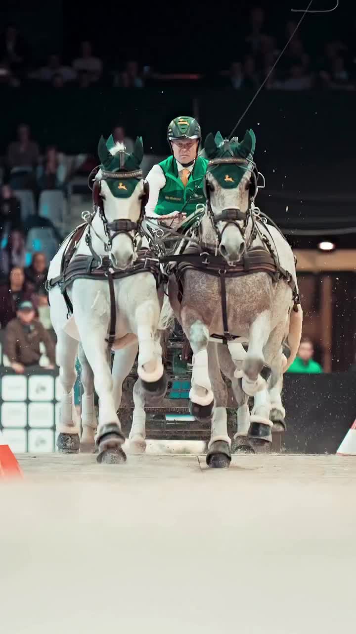 Video post from fei_global.