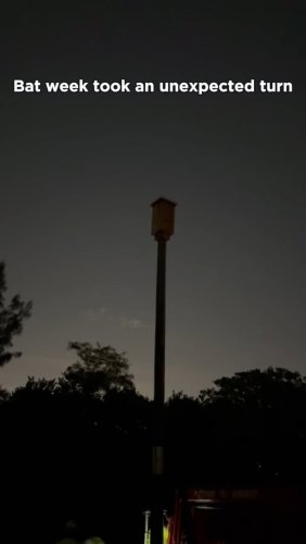 Video post from zoomiami.