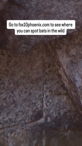 Video post from stevenielsen_front9.