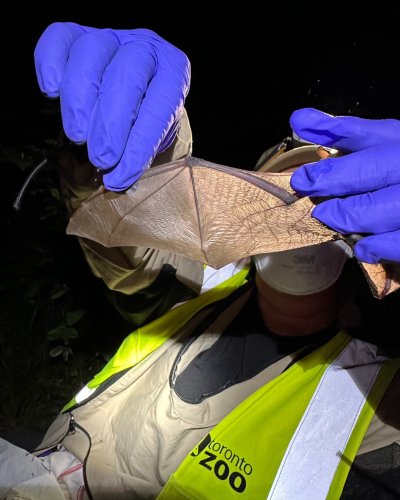 Photo post from nwmocanada.