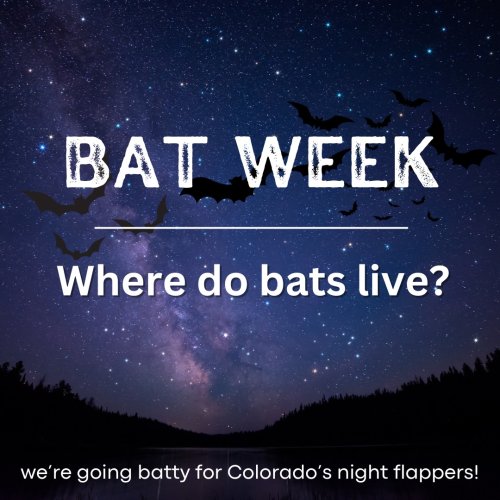 Photo post from jeffcoopenspace.