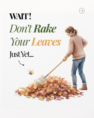 Carousel post from macbeetrail.